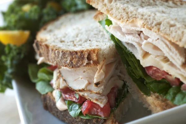 Turkey Sandwich — Stock Photo, Image