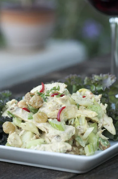 Hühnercurry-Salat — Stockfoto