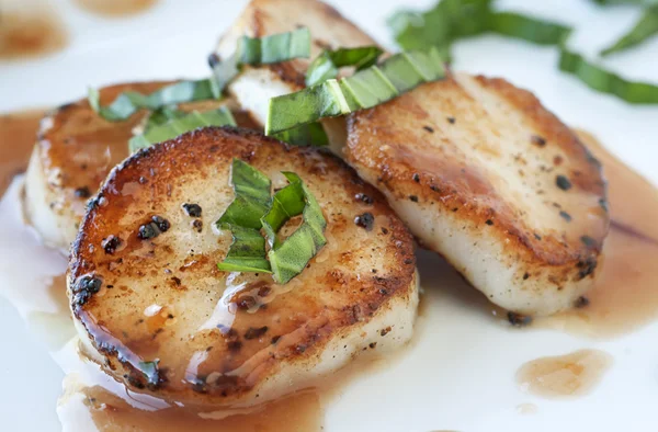 Seared Scallops — Stock Photo, Image