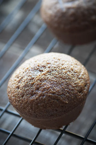 Muffin de jengibre —  Fotos de Stock