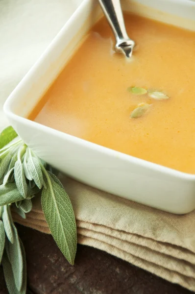 Sopa de calabaza de mantequilla — Foto de Stock