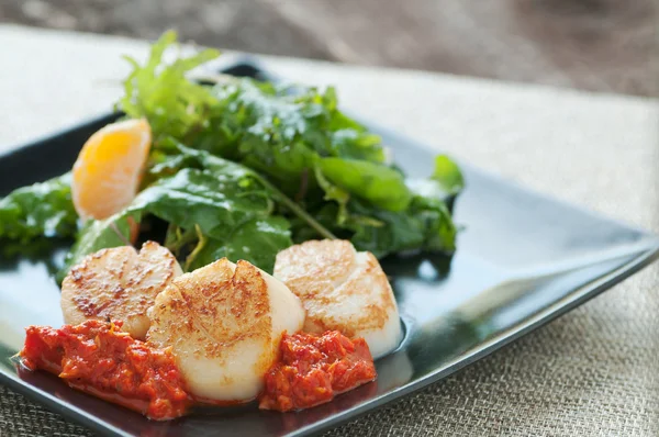 Seared Scallop Appetizer — Stock Photo, Image