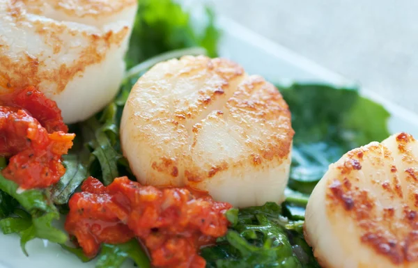 Seared Scallop Appetizer — Stock Photo, Image