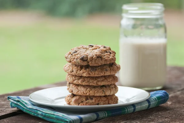 Chocolate Chip Cookies — Stock Photo, Image