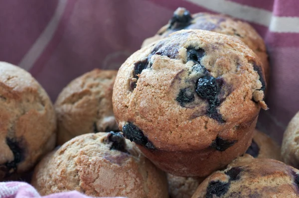 Muffins de arándanos — Foto de Stock