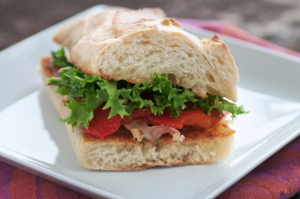 Deli sandwich — Stockfoto