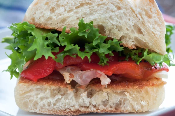 Deli sandwich — Stockfoto