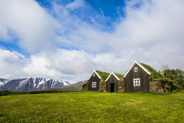 Icelandic green roof houses Royalty Free Stock Images