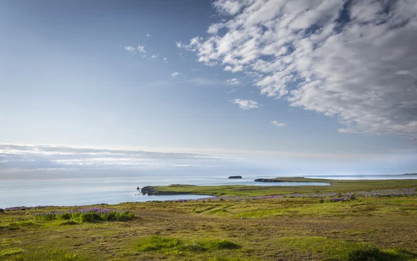 Północna Islandia krajobraz — Zdjęcie stockowe