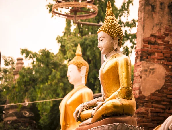 Buda sentada en Wat Phu Khao Thong. Ayutthaya, Tailandia . —  Fotos de Stock