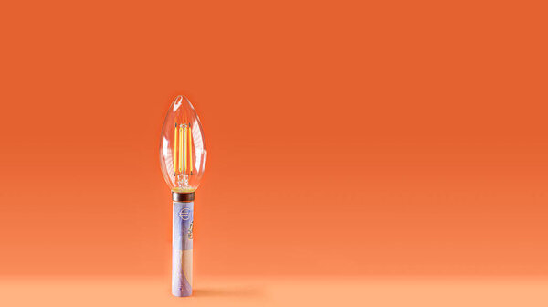 Возглавляемая лампочка на банкноте евро символизирует рост стоимости электроэнергии.