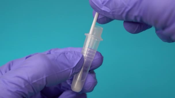 Medico o infermiere inserire un tampone in un tubo di estrazione, nel processo di test dell'antigene — Video Stock