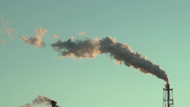 Planta industrial que daña el medio ambiente por las emisiones de gases tóxicos a la atmósfera. — Vídeos de Stock