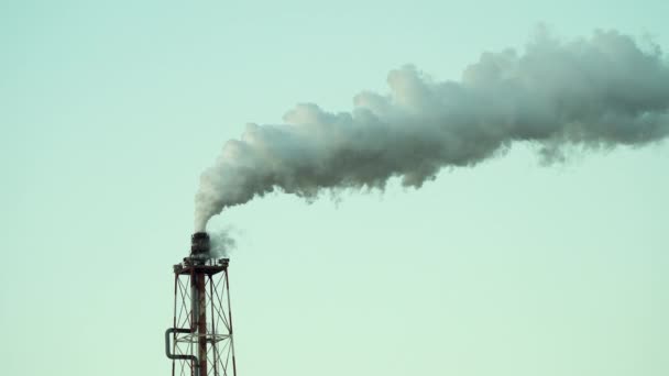Промышленное предприятие вредит окружающей среде выбросами токсичных газов в атмосферу. — стоковое видео
