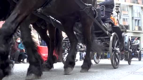 Reus, Spain. March 2022: Horse pulling a coach around the city centre in The Tres Tombs festival cavalcade — Stock Video