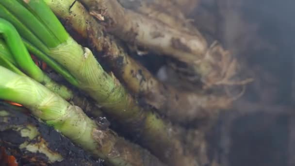 Vertikale Ansicht eines Haufens von Calcots oder süßen Zwiebeln, die im Grill gekocht werden. Typisch für Katalonien, Spanien — Stockvideo