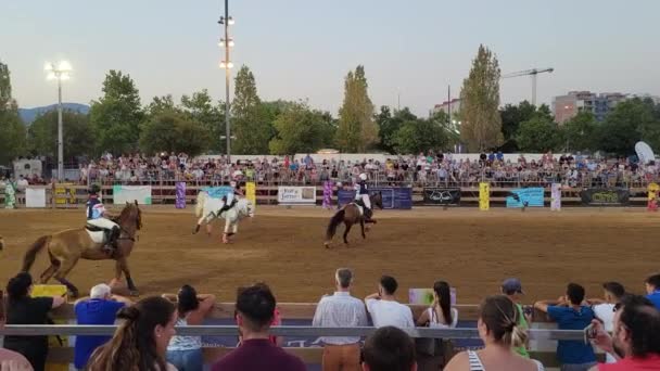 Reus Spain July Horseball Exhibition Horse Fair Feast James — Vídeo de stock