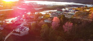 Küçük bir barda kızarmış tavuk bacağı..