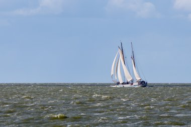 Hollandalı denizde yelkenli gemi