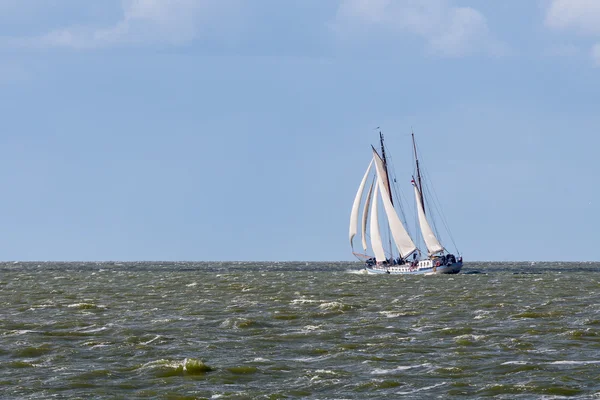 Navio à vela no mar holandês — Fotografia de Stock