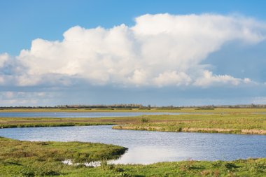 Dutch national park Oostvaardersplassen with beautiful cloudscap