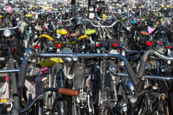 네덜란드에서 주차 자전거 — 스톡 사진