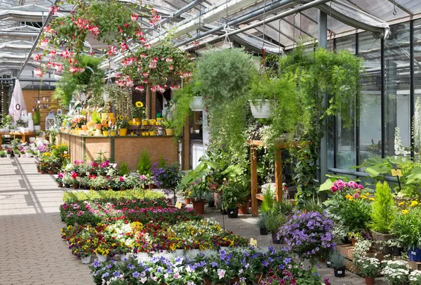 Centro de jardim vendendo plantas em uma estufa — Fotografia de Stock