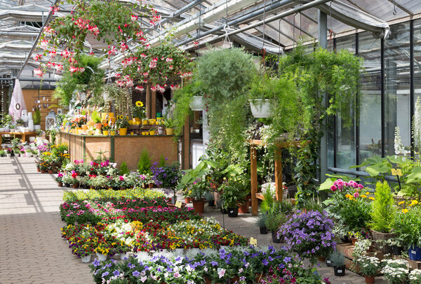 Garden center selling plants in a greenhouse Stock Picture