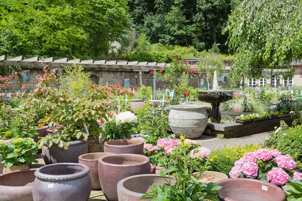 Garden center with big stone flower pots — Stock Photo, Image