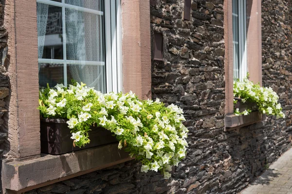 Altes Haus mit Fensterbänken und Blumentöpfen — Stockfoto