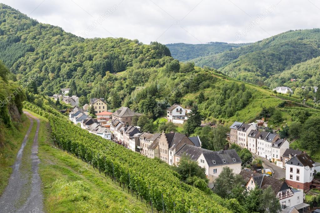 Aerial view of mosel city Trarbach with vineyards