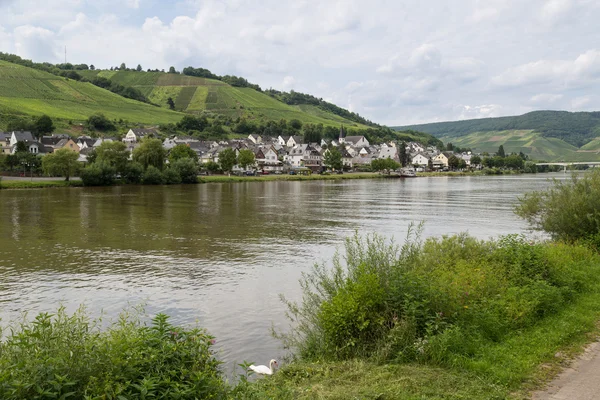 Rio alemão Moselle com vista para a aldeia Zell — Fotografia de Stock