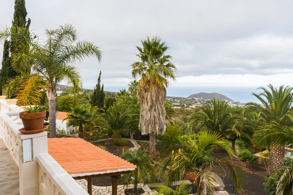 Trädgård med palmer på la palma, Kanarieöarna — Stockfoto