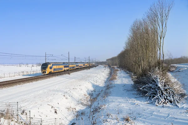 Nederlandse trein in besneeuwde winterlandschap — Stockfoto