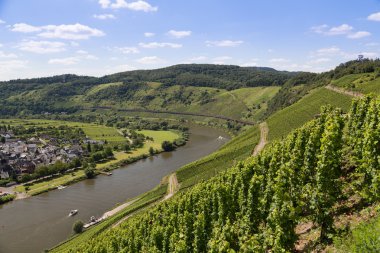 Alman nehir moselle yakınındaki punderich havadan görünümü