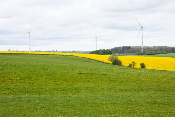 Belgien fält med coleseed och vindkraft turbiner — Stockfoto