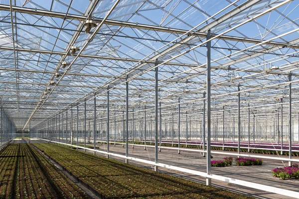 Covering of a big glass greenhouse in the Netherlands — Stock Photo, Image