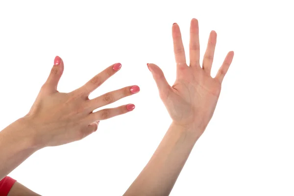 Female hands showing nine fingers isolated on white background — Stock Photo, Image