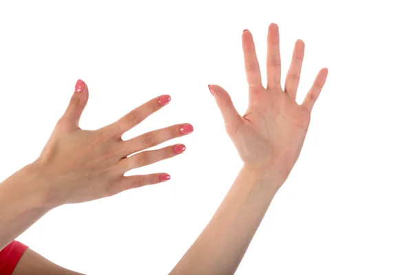 Female hands showing ten fingers isolated on white background — Stock Photo, Image