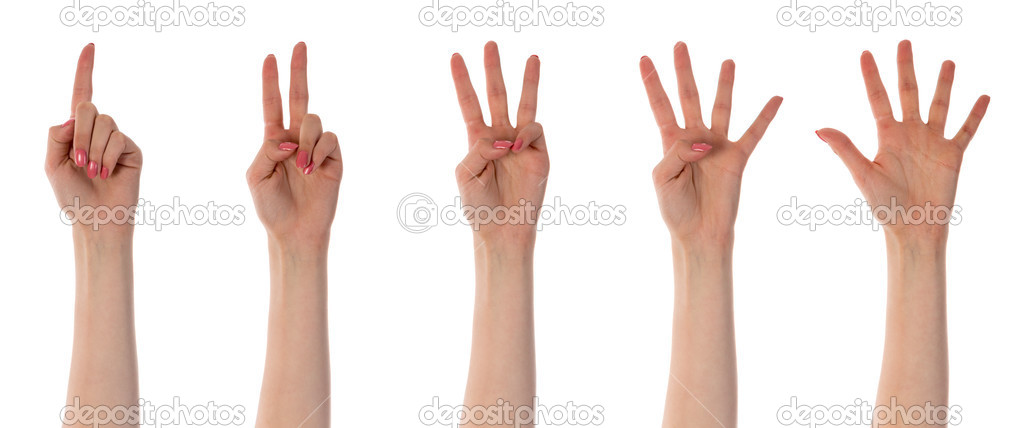 Five counting female hands isolated on white