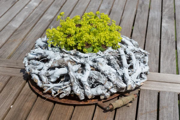 Kind is het eten van aardbeien in de zomer — Stok fotoğraf