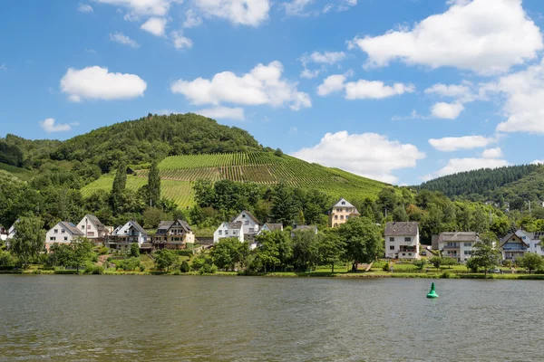 Huizen en wijngaarden langs de Moezel in Duitsland — Stockfoto