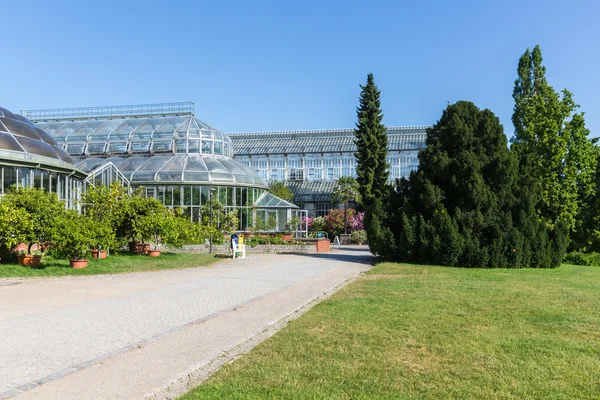 Grande serra nel giardino botanico di Berlino — Foto Stock