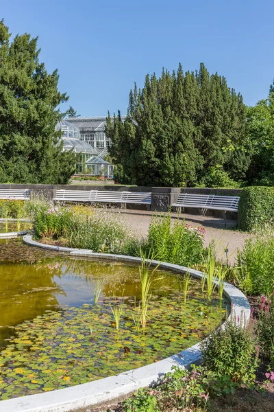 Botanická zahrada Berlín s rybníkem a skleníkové — Stock fotografie