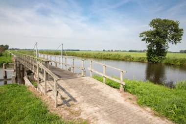 Hollanda Milli Parkı weerribben ahşap köprü