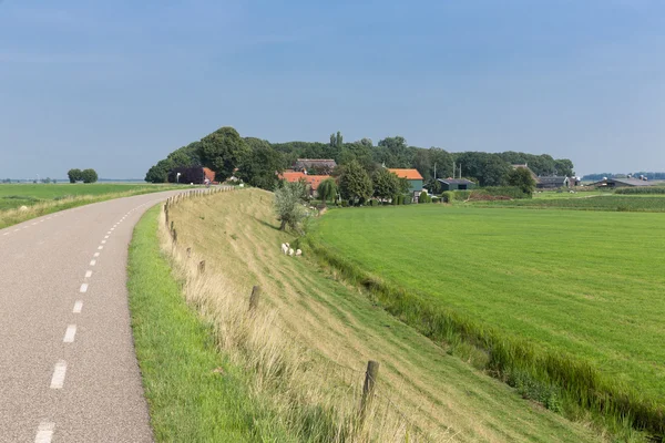 Campagne néerlandaise avec digue intérieure et prairies — Photo