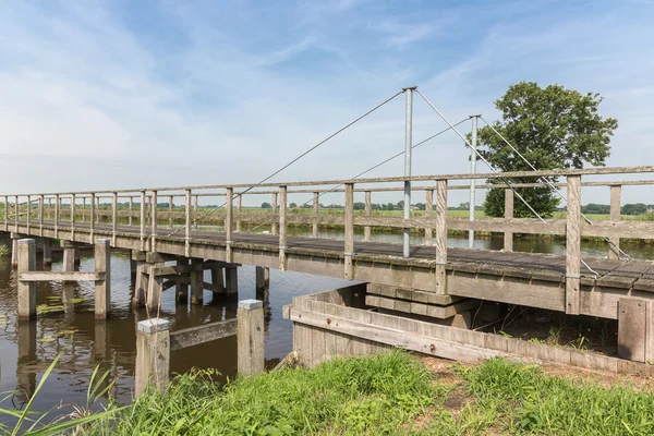 Holzbrücke im holländischen Nationalpark weerribben — Stockfoto