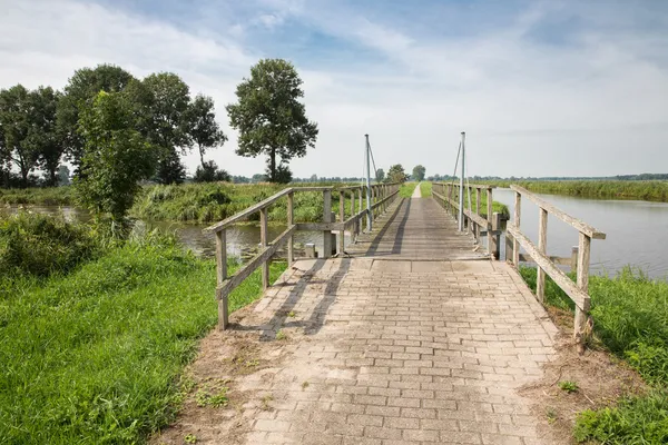 Wooden bridge in Dutch National Park Weerribben — Stock Photo, Image