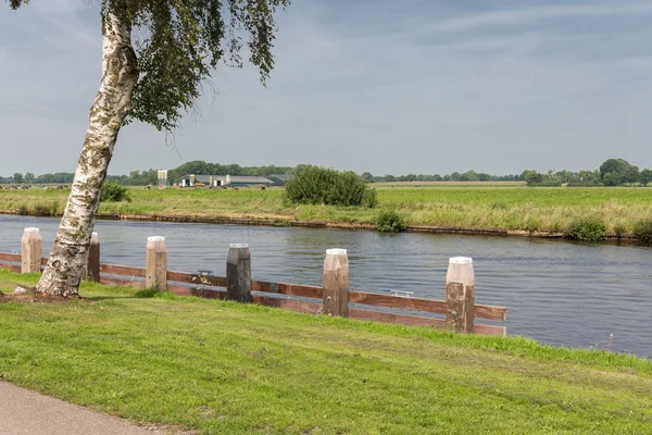 Canal with wooden bollards in typical Dutch countryside — Stock Photo, Image