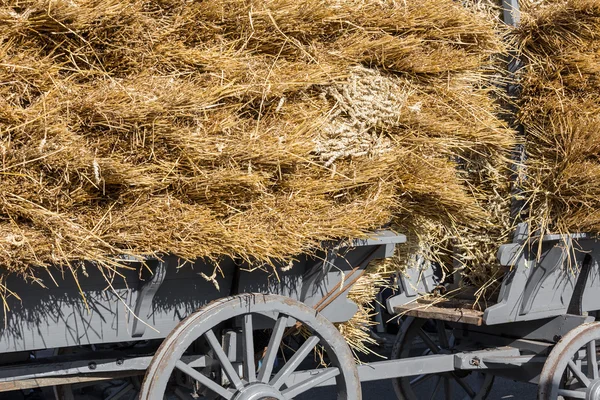 Tradicional vagón de madera holandés cargado con una pila de heno — Foto de Stock